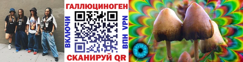 закладка  Вышний Волочёк  Псилоцибиновые грибы мухоморы 